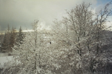 Nach vielen Schneef�llen eine wunderbar ruhige Winterlandschaft