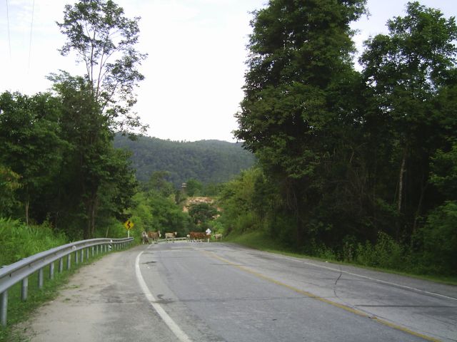 ungewöhnliche Hindernisse, kenne ich aber auch aus der Schweiz oder Österreich