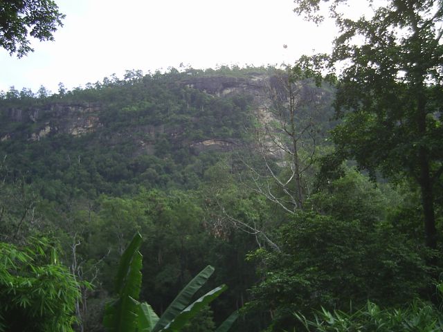 Blick auf Felswände mal nicht grün, sofern man vom Moos absieht