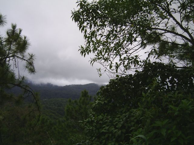Die Wolken kommen tief rein, es ist gerade recht temperiert, aber teils heftiger Wind