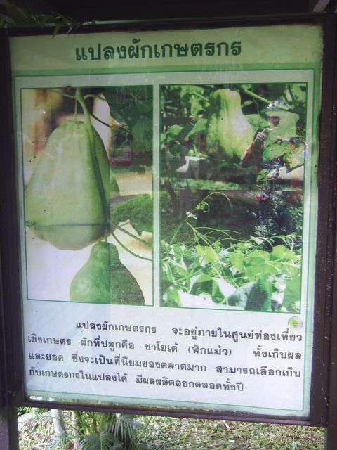 Werbung für die Produkte des Dorfes