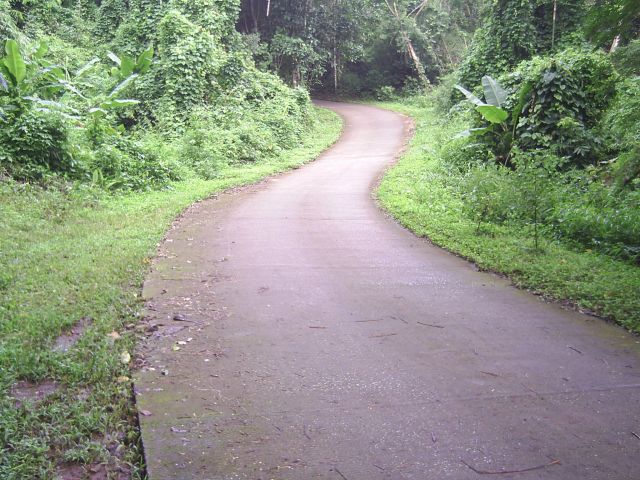kleine Betonpiste ins Tal durch Dschungel