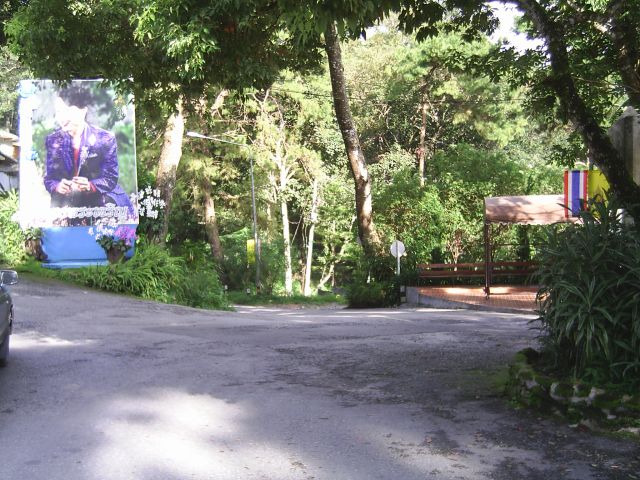 Die letzten Meter zum Parkplatz - runter kaum zu finden ...