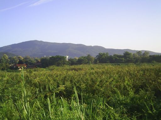 Flanke des Doi Suithep, von rechts kommend (siehe Tour 1)