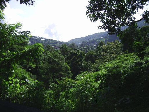 Dieses Tal entlang kam ich ...