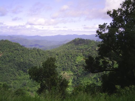 Immer Blick nach Westen - Samoeng ...