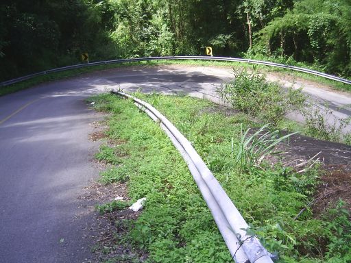 Serpentine mit Wald ...