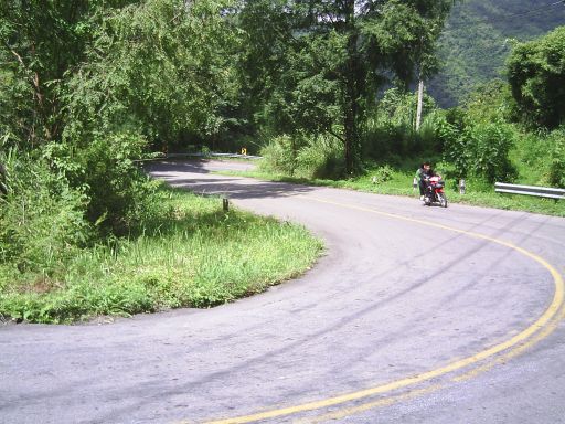 Serpentine mit Wald und Motorroller