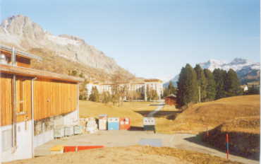 Prachtbau aus Purpurne Fluesse